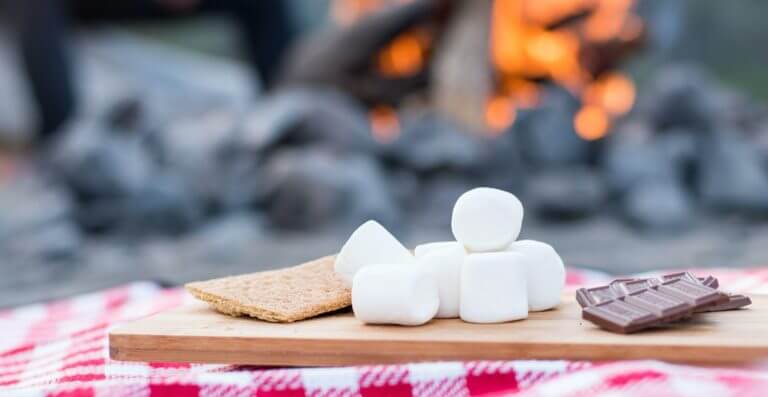 s'mores served at backyard camping party with teepee tents